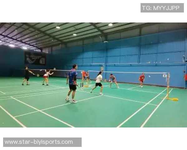 羽毛球新手必看入门攻略轻松掌握技巧与战术提升游戏乐趣 羽毛球新手必看入门攻略轻松掌握技巧与战术提升游戏乐趣