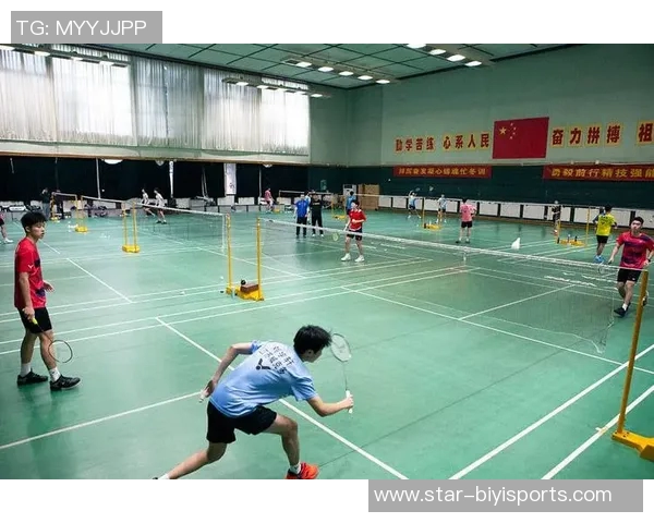 英超羽毛球赛场上的南京羽毛球队奋斗历程全景纪实 英超羽毛球赛场上的南京羽毛球队奋斗历程全景纪实